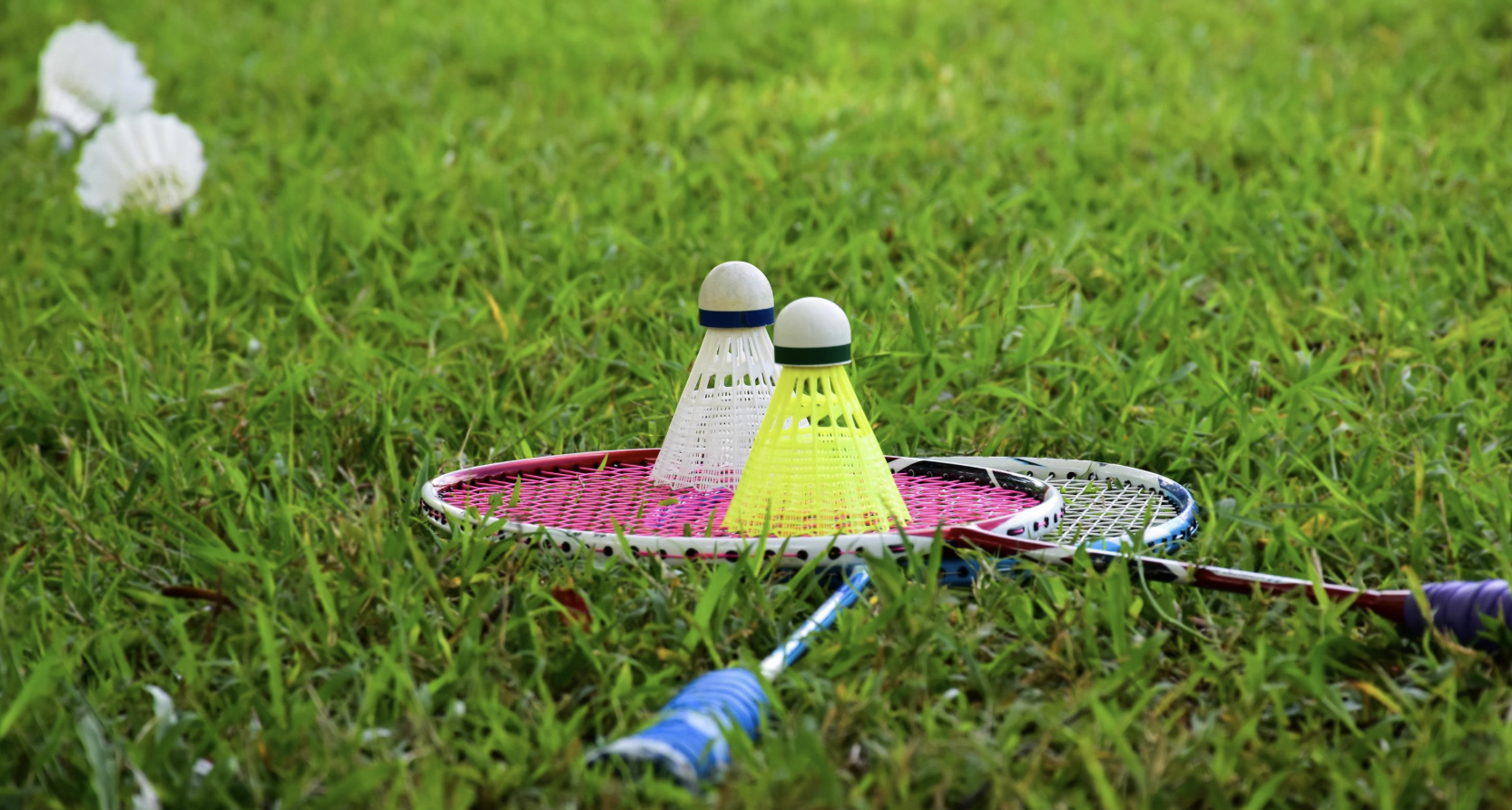 Badminton court at Momentum Arena - Indoor badminton courts