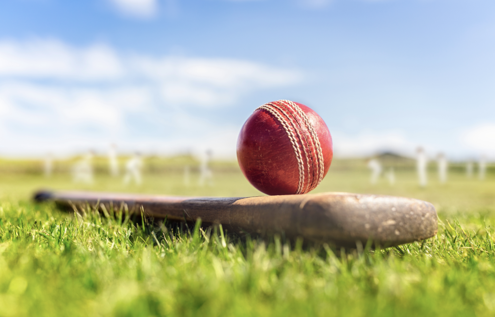 Cricket court at Momentum Arena - Professional cricket turf in Mathura